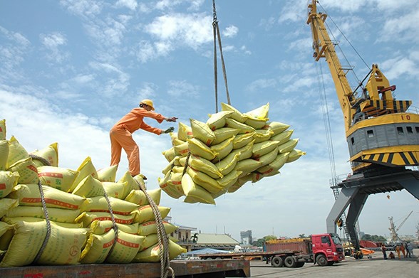 Suitable local rice prices help to boost exports