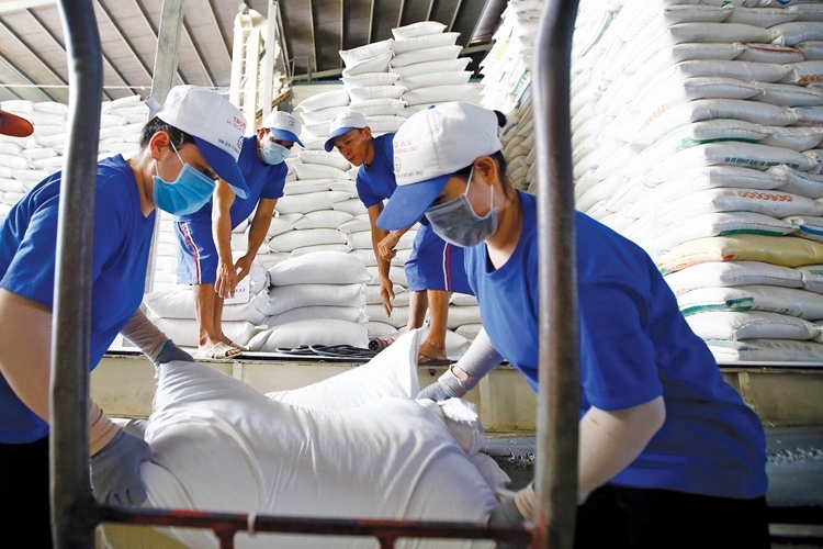 Consultation session seeks ways to export rice to ASEAN market
