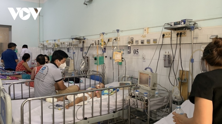Da Nang sees sharp rise in dengue fever cases