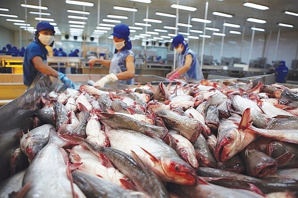 Shrimp, pangasius exports enjoy April surge