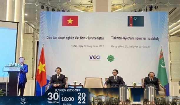 Vietnamese and Turkmenistan firms enhance business co-operation