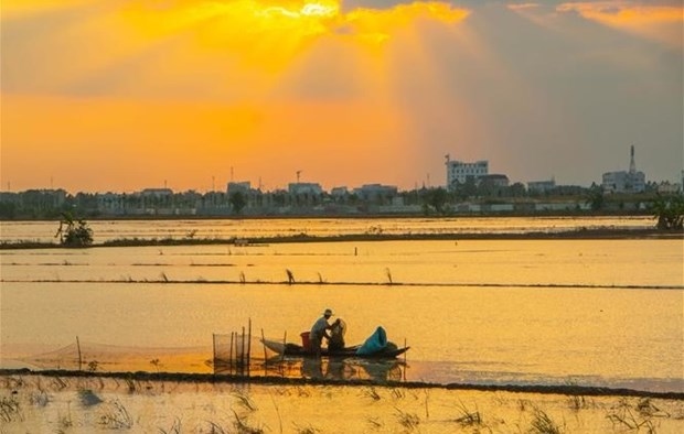 Fulbright University helps improve natural capital management in Mekong Delta