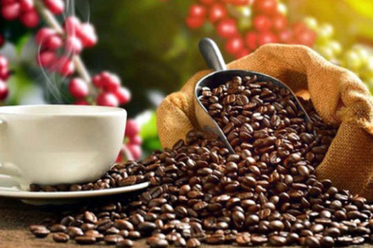 US increases coffee imports from Vietnamese market