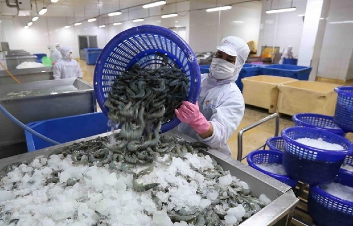 Shrimp processors to eye Japanese market in second half of 2022