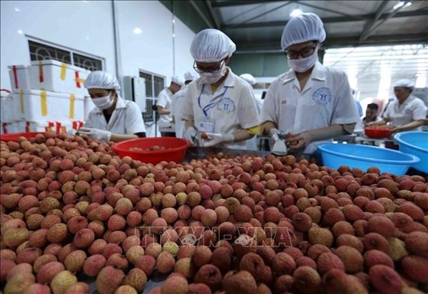 Big step for Vietnamese fruits towards US market