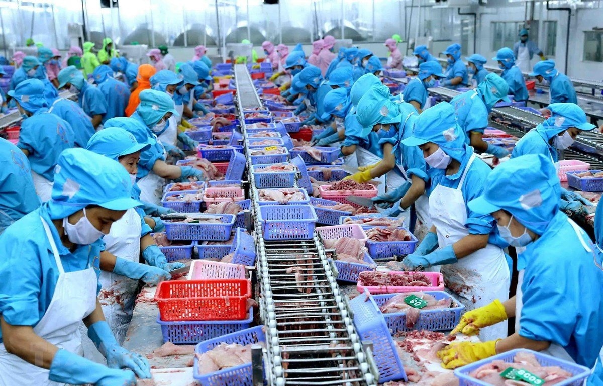 CPTPP gives extra boost to Vietnam’s aquatic exports to Japan