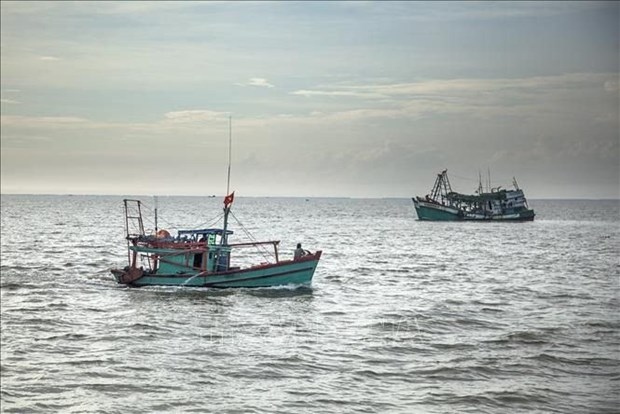 Vietnam ready to cooperate and share experience in combating illegal fishing