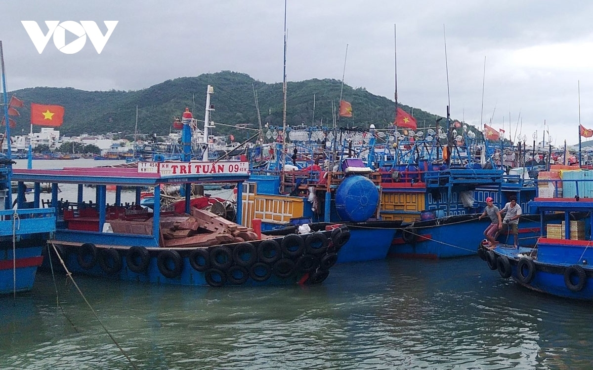 Over 60,000 fishing vessels urged to seek safe shelter from storm Chaba