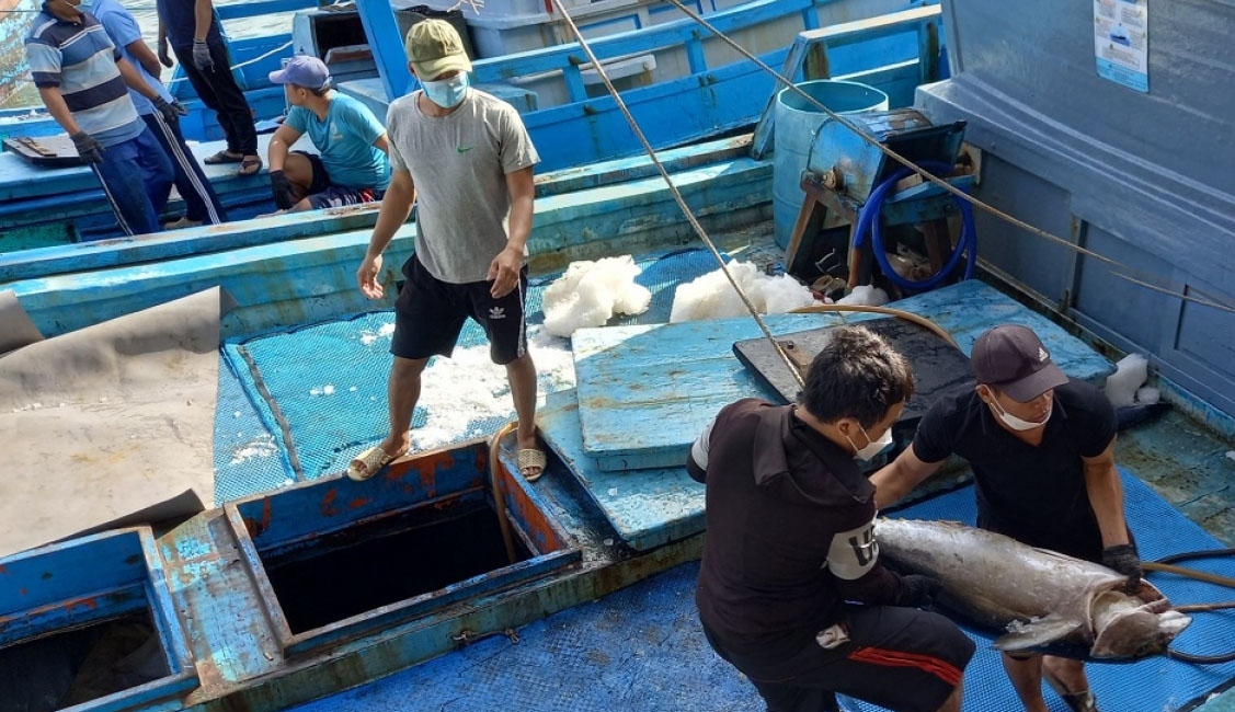 Tuna exports likely to hit over US$1 billion this year