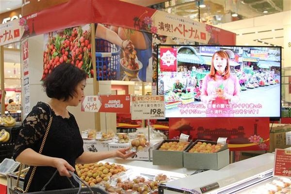 Vietnamese Goods Week underway in Japan