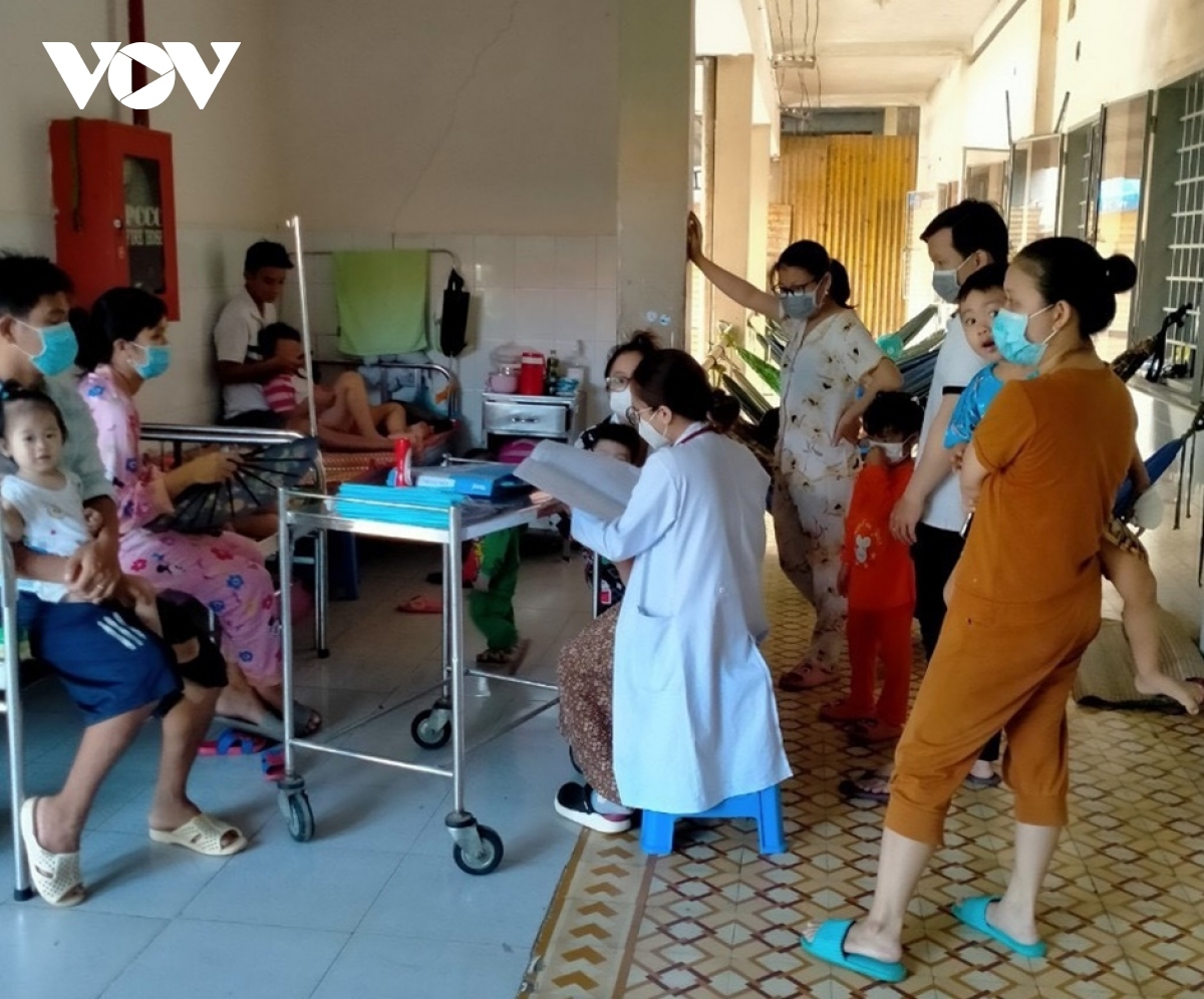 Dengue fever surges at alarming rate in Tien Giang
