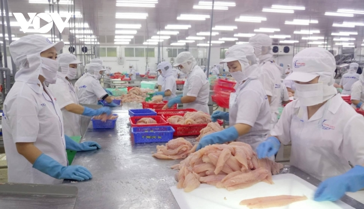 US, China become largest consumers of Vietnamese pangasius