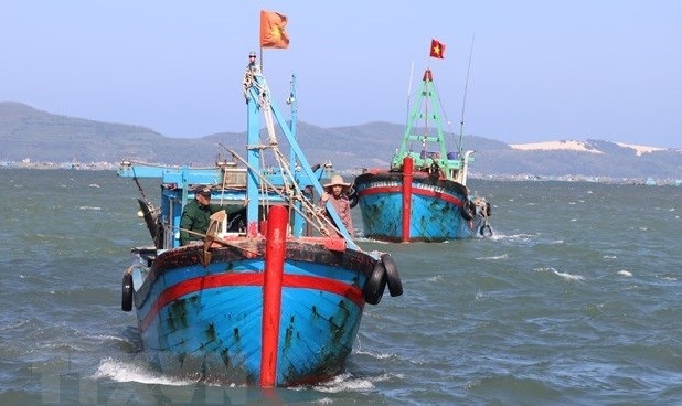 Vietnam maintains efforts to fight IUU fishing