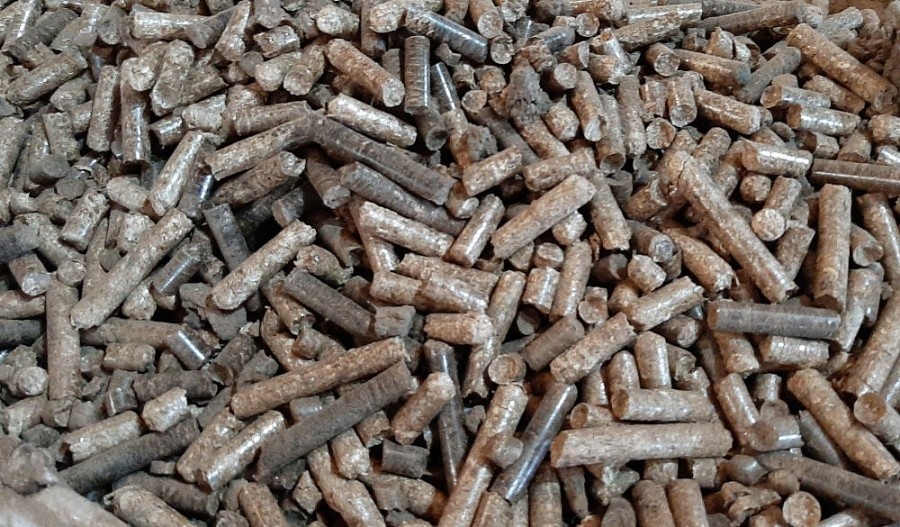 Vietnam ranks second globally for wood pellet exports
