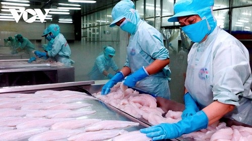 Seafood exports to Russia see signs of recovering