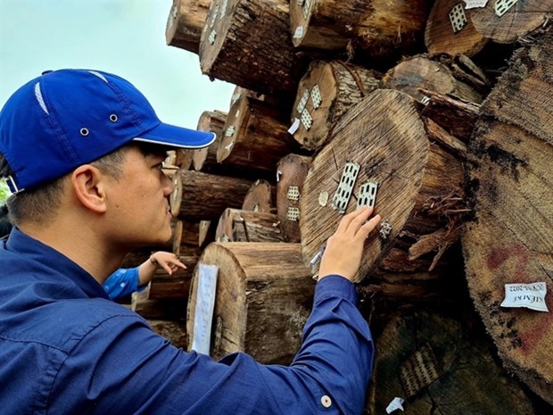 Huge potential for Vietnam’s timber exports