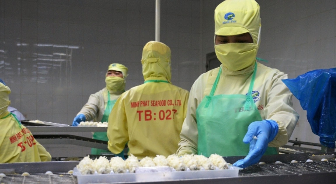 CPTPP fuels Vietnamese seafood demand in Latin America