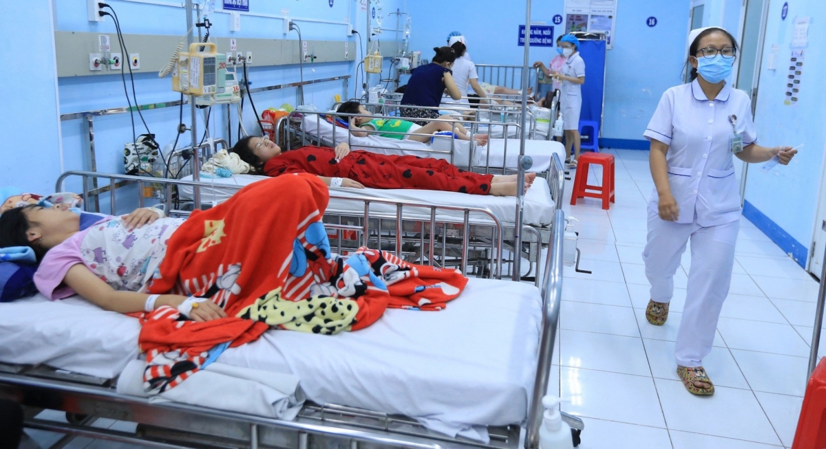 Dengue fever cases in Hanoi exceed warning level