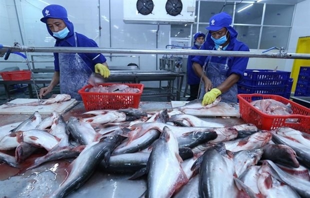 China expected to remain largest importer of Vietnamese pangasius in 2022