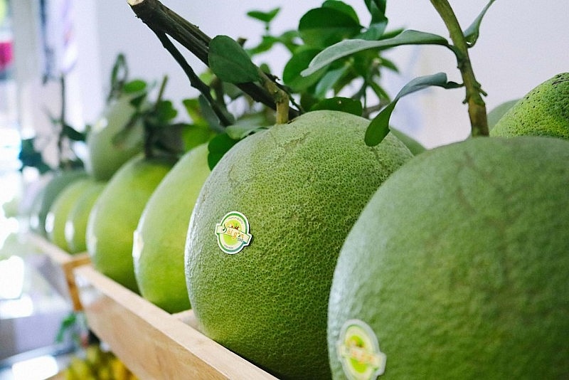 First batch of pomelo officially shipped to US market