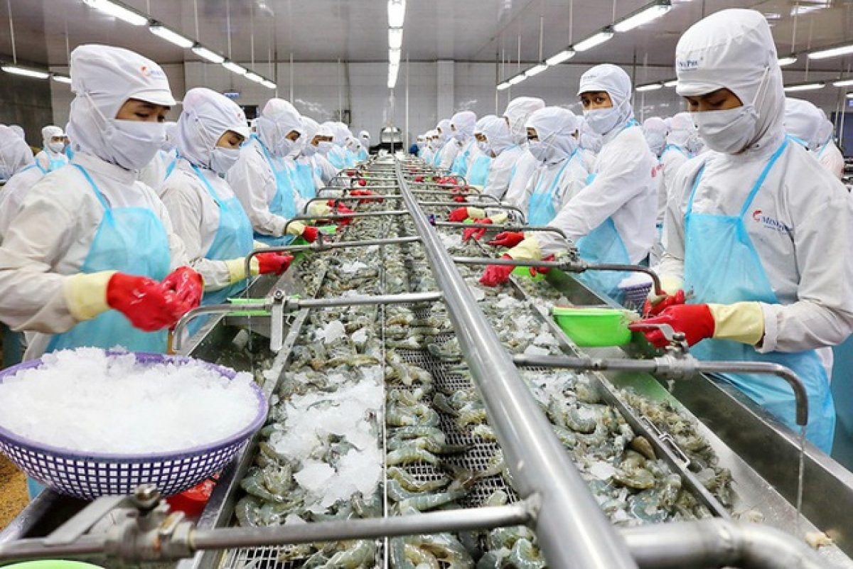 Shrimp exports to Chinese market increased by 50% in October