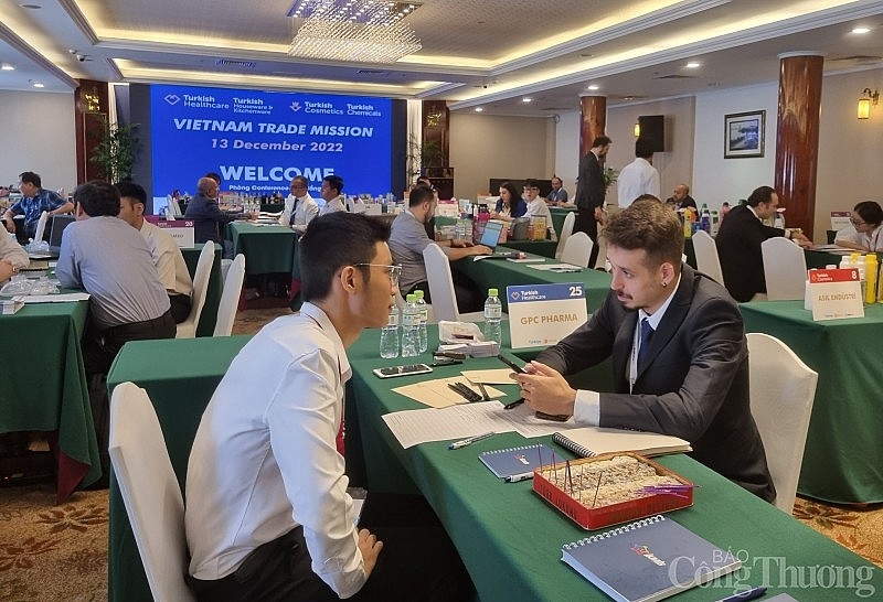 Vietnam strives to attract Turkish businesses