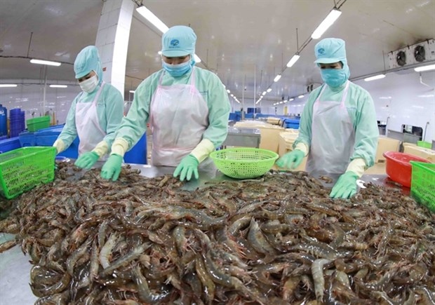 Seafood exporters' profit projected to fall in 2023