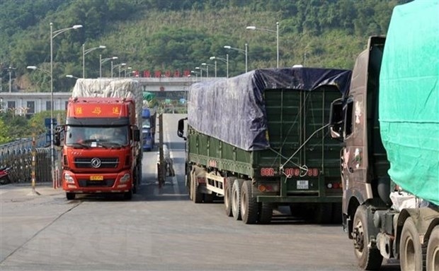 Vietnam-Yunnan trade ties below potential: Official
