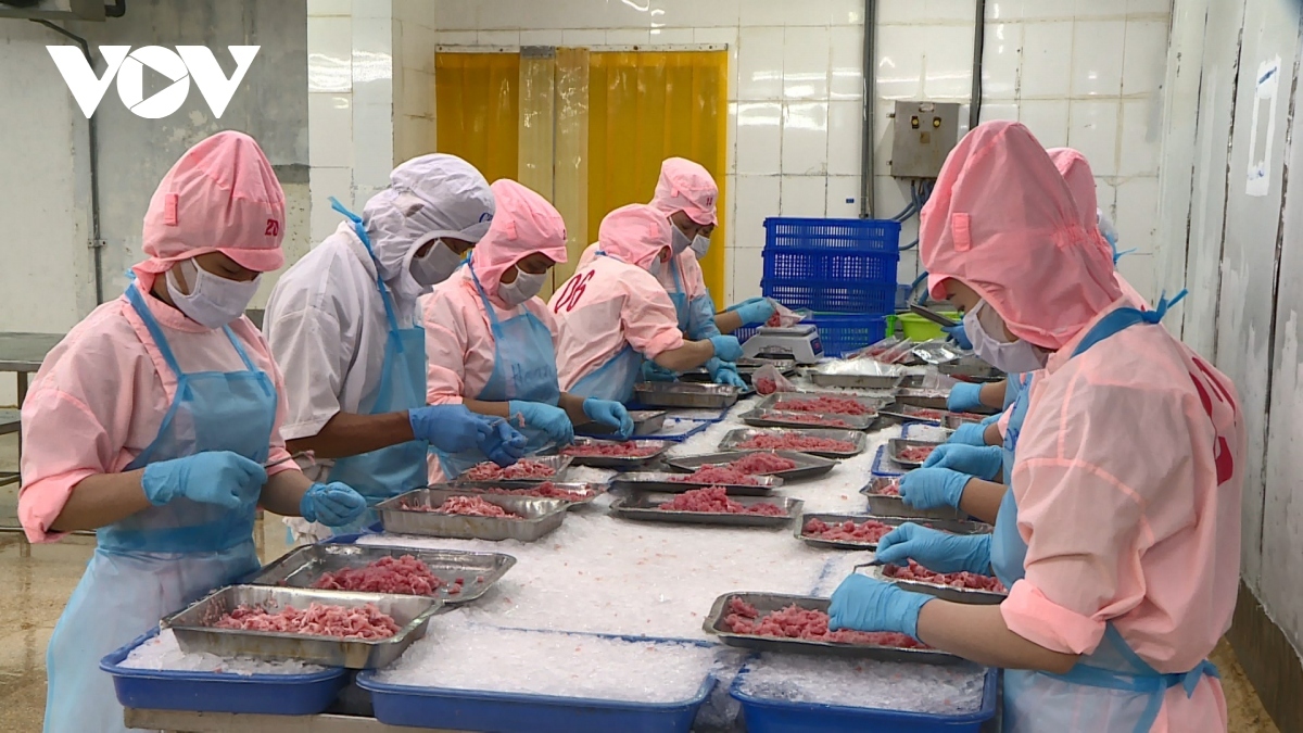 Additional Vietnamese enterprises licensed to export seafood products to China
