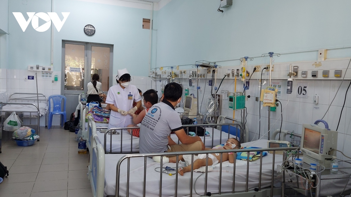Dengue fever cases drop in Ho Chi Minh City