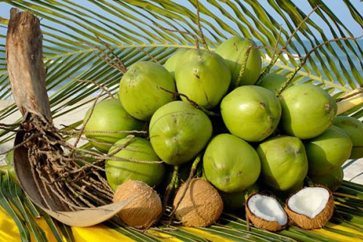 Coconut exports likely to reach US$1 billion this year