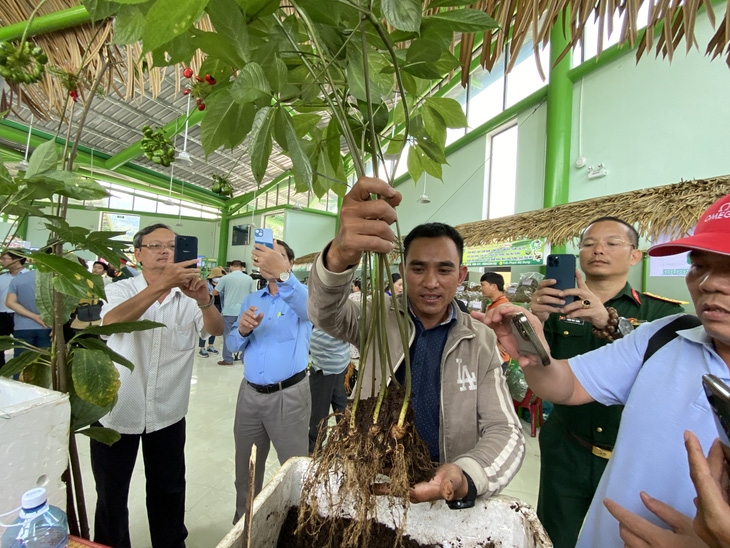 Second ginseng fair to make its debut in Vietnam this month