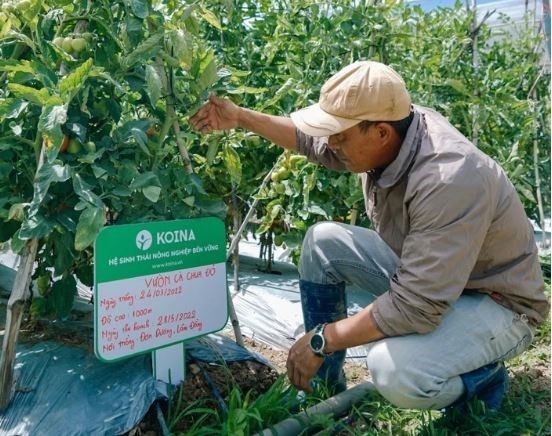 VinaCapital Ventures pours US$1 million into agritech startup