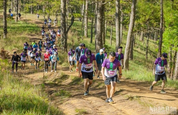 7,000 runners to join Dalat Ultra Trail 2023