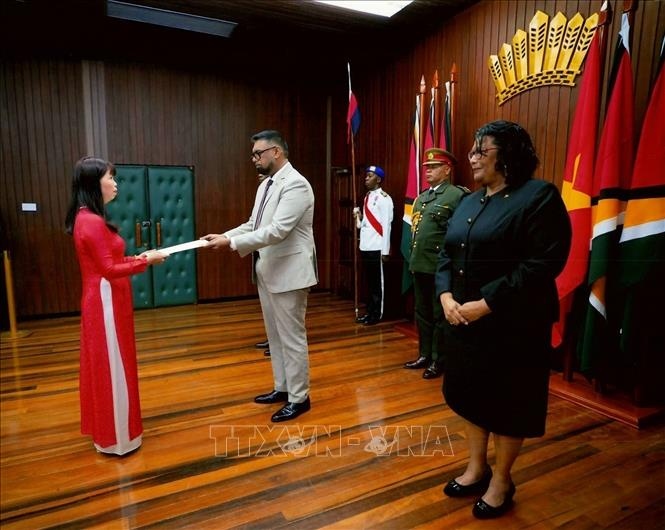 Guyana wishes to foster cooperation with Vietnam