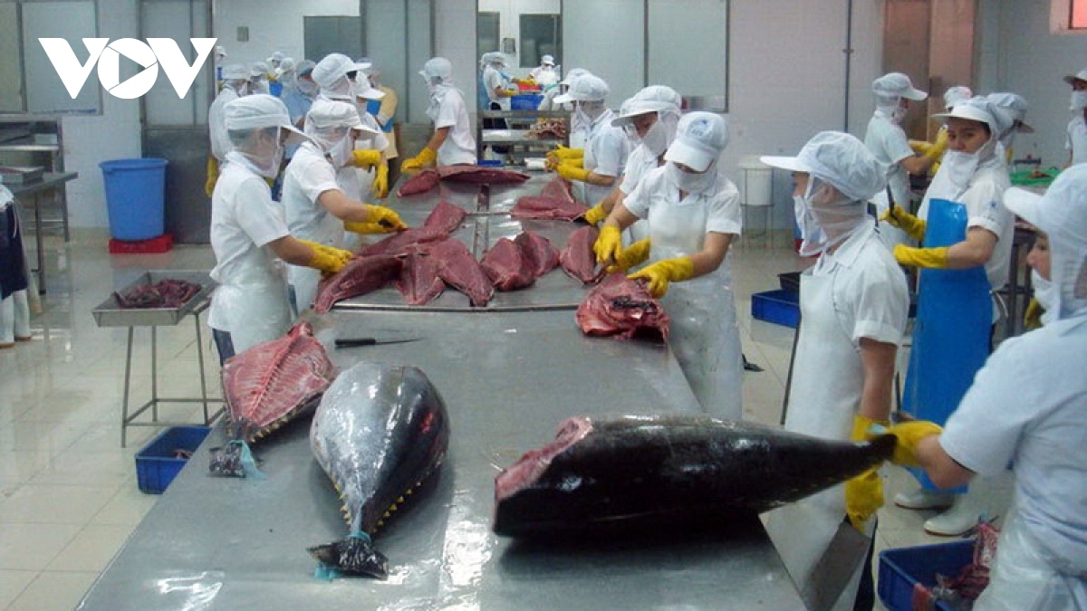 Vietnamese tuna to RoK sees impressive growth