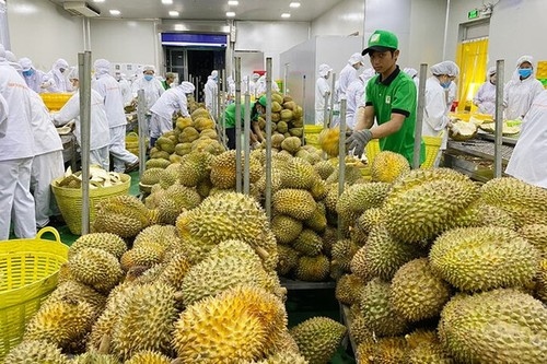 Lang Son facilitates export of fruits from Thailand to China