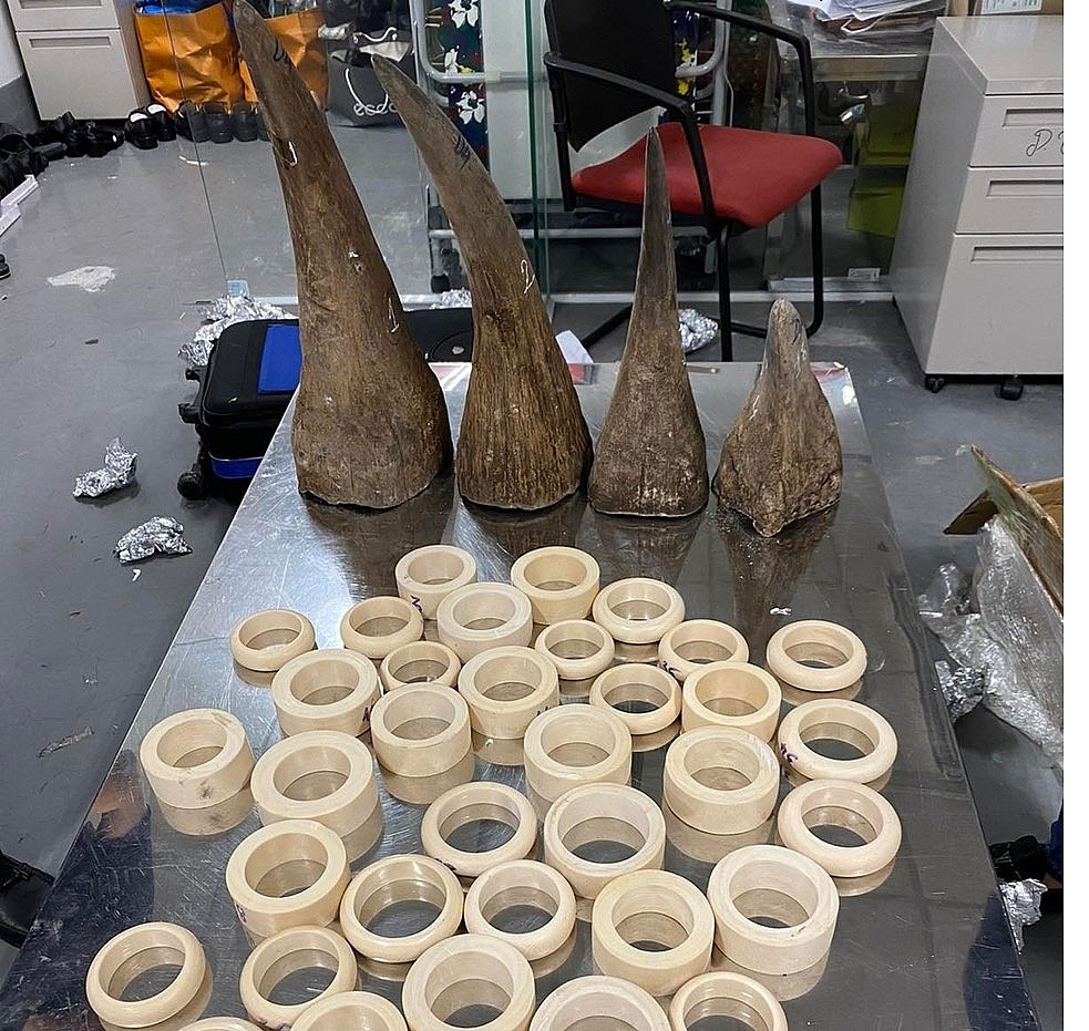 Haul of rhino horns and elephant tusks seized at Vietnam airport