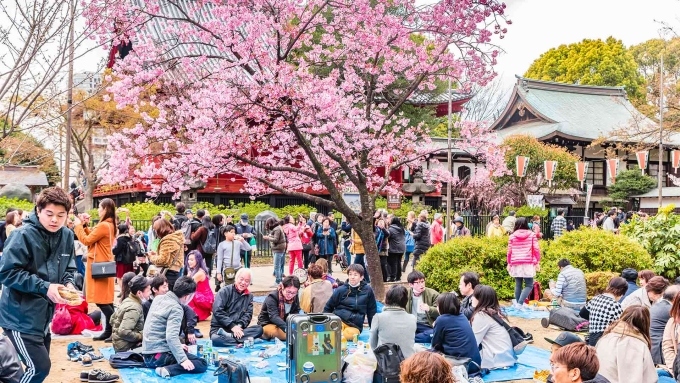 Number of Vietnamese tourists to Japan sees biggest growth in first quarter