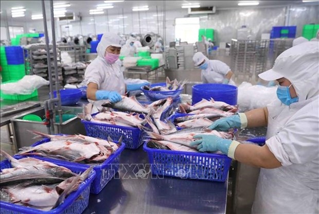 Fishery exports dwindle in first four months