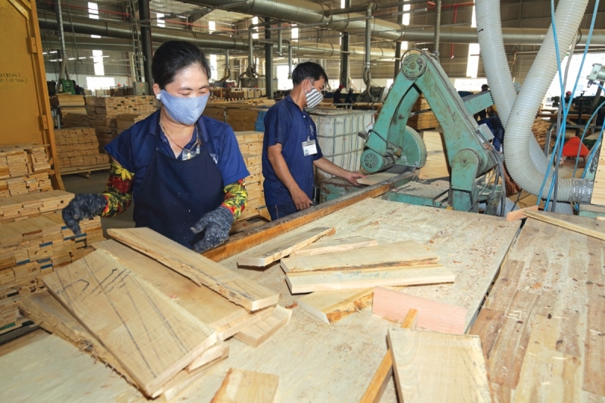 Vietnamese wood exports show initial signs of recovery