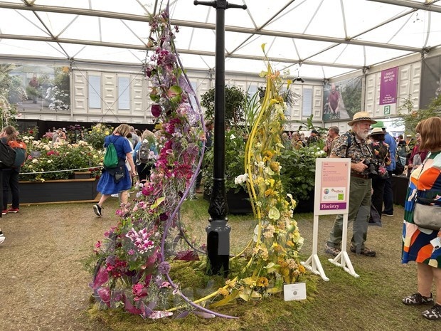 First OV wins high prize at Chelsea Flower Show 2023