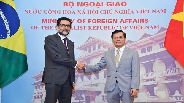 Vietnam-Brazil comprehensive partnership to go further