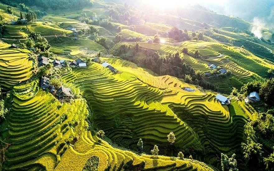 Indian Times declares terraced rice fields of Sa Pa prime reason to visit Vietnam