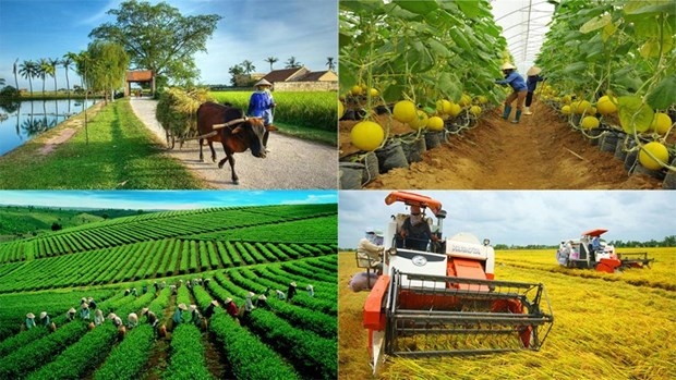Agriculture sector continues to focus on three key programmes