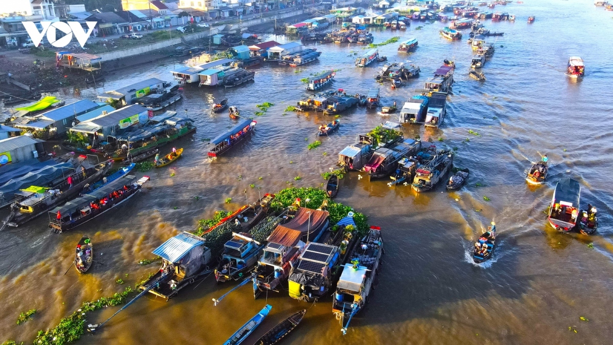 Cai Rang floating market festival features exciting lineup of activities