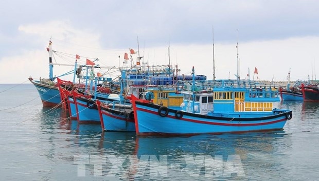 Deputy PM requires strict sanction against IUU fishing acts