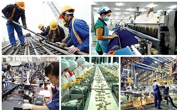 Developing high quality human resources for sustainable labour market recovery