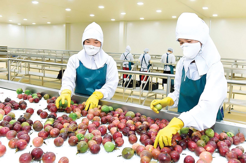 Australia requested to soon open market for Vietnamese passion fruit, pomelo