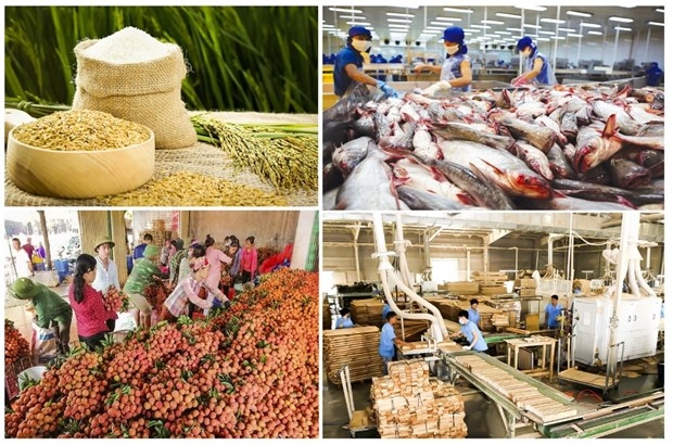 Agro-forestry-aquatic product exports post trade surplus of nearly US$6 billion